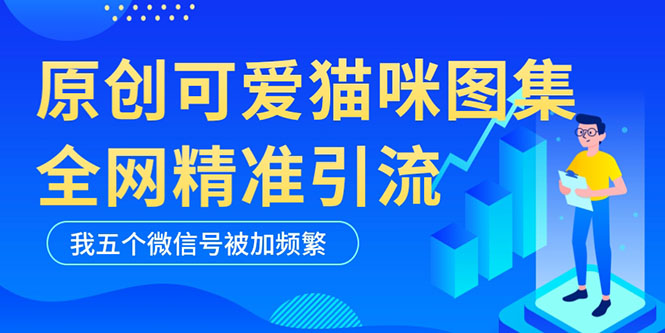 黑科技纯原创可爱猫咪图片，全网精准引流，实操5个VX号被加频繁-有术宝库