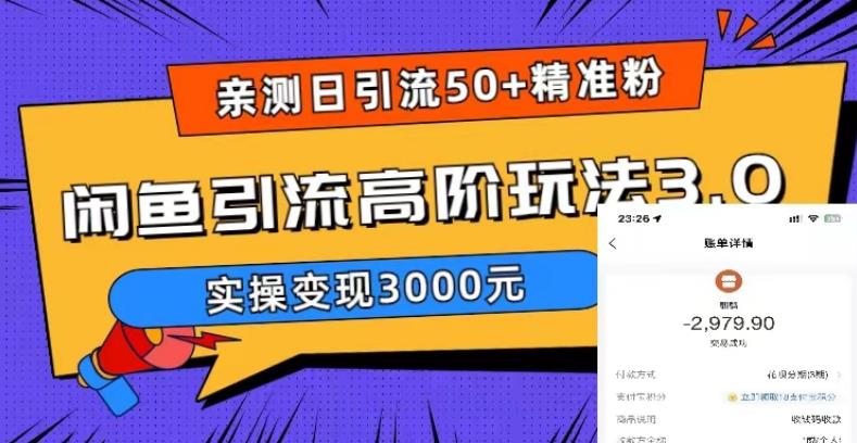 日引50+精准粉，闲鱼引流高阶玩法3.0，实操变现3000元-有术宝库