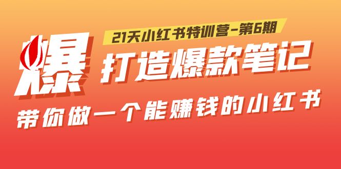 21天小红书特训营-第6期，打造爆款笔记，带你做一个能赚钱的小红书-有术宝库