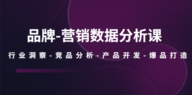 品牌-营销数据分析课，行业洞察-竞品分析-产品开发-爆品打造-有术宝库