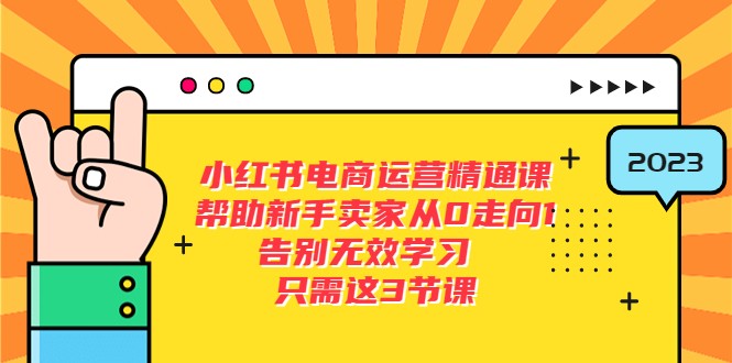 小红书电商·运营精通课，帮助新手卖家从0走向1 告别无效学习（17节视频课）-有术宝库